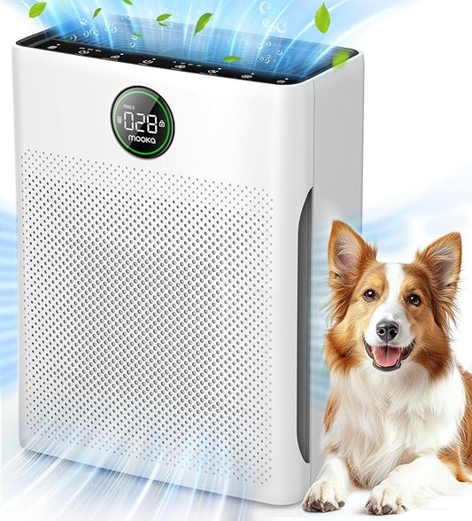 PureFlow™ PR1 HEPA Air Purifier